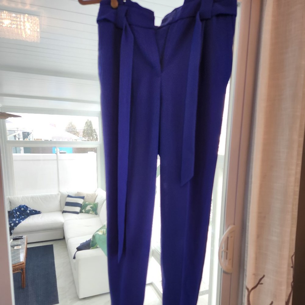 Express Dress Pants